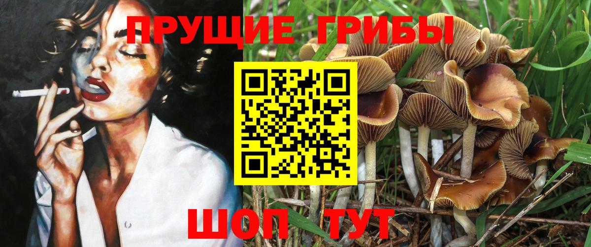 Псилоцибиновые грибы Psilocybine cubensis  Вход с VPN  сколько стоит  Чернушка 